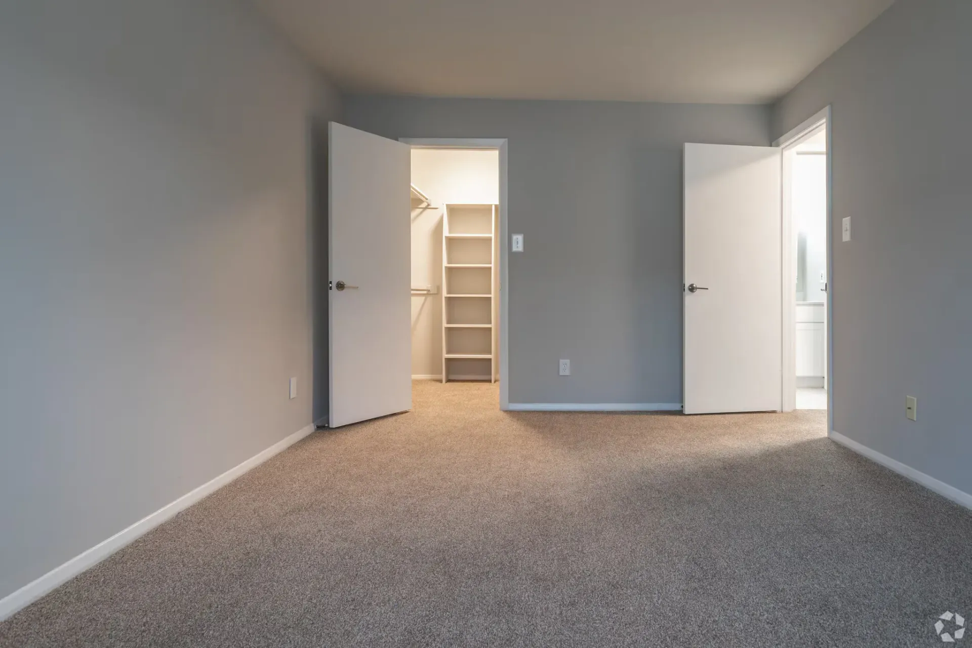Bedroom with gray walls, carpet, and two open doors showing a closet and hallway.