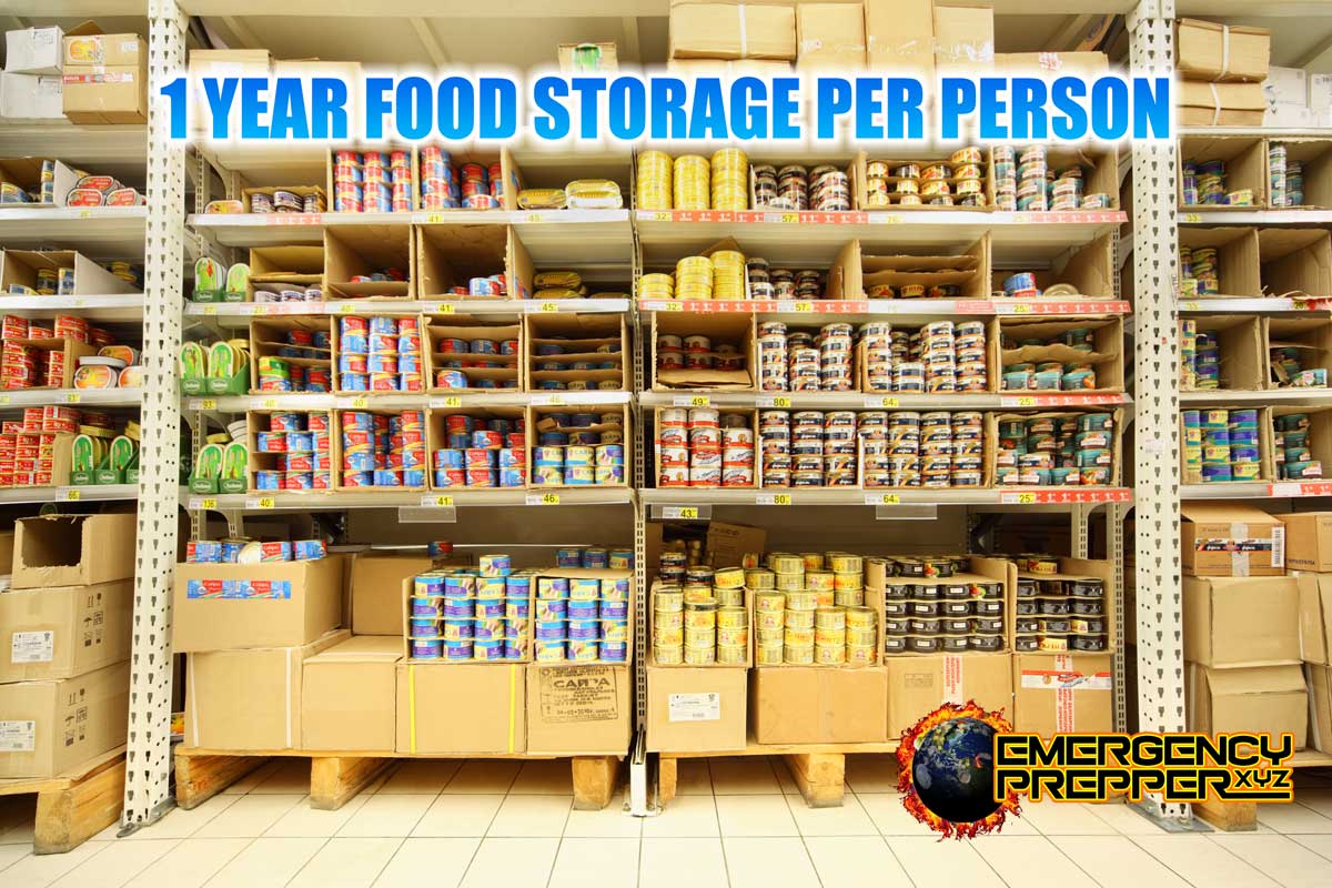 Basic Requirements For One Year Supply Of Food For Each Family Member