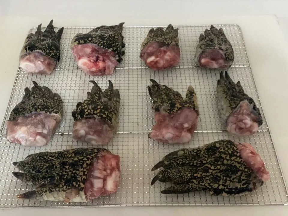 Ten raw, dark-skinned reptile claws with pinkish meat, arranged on a metal cooling rack.