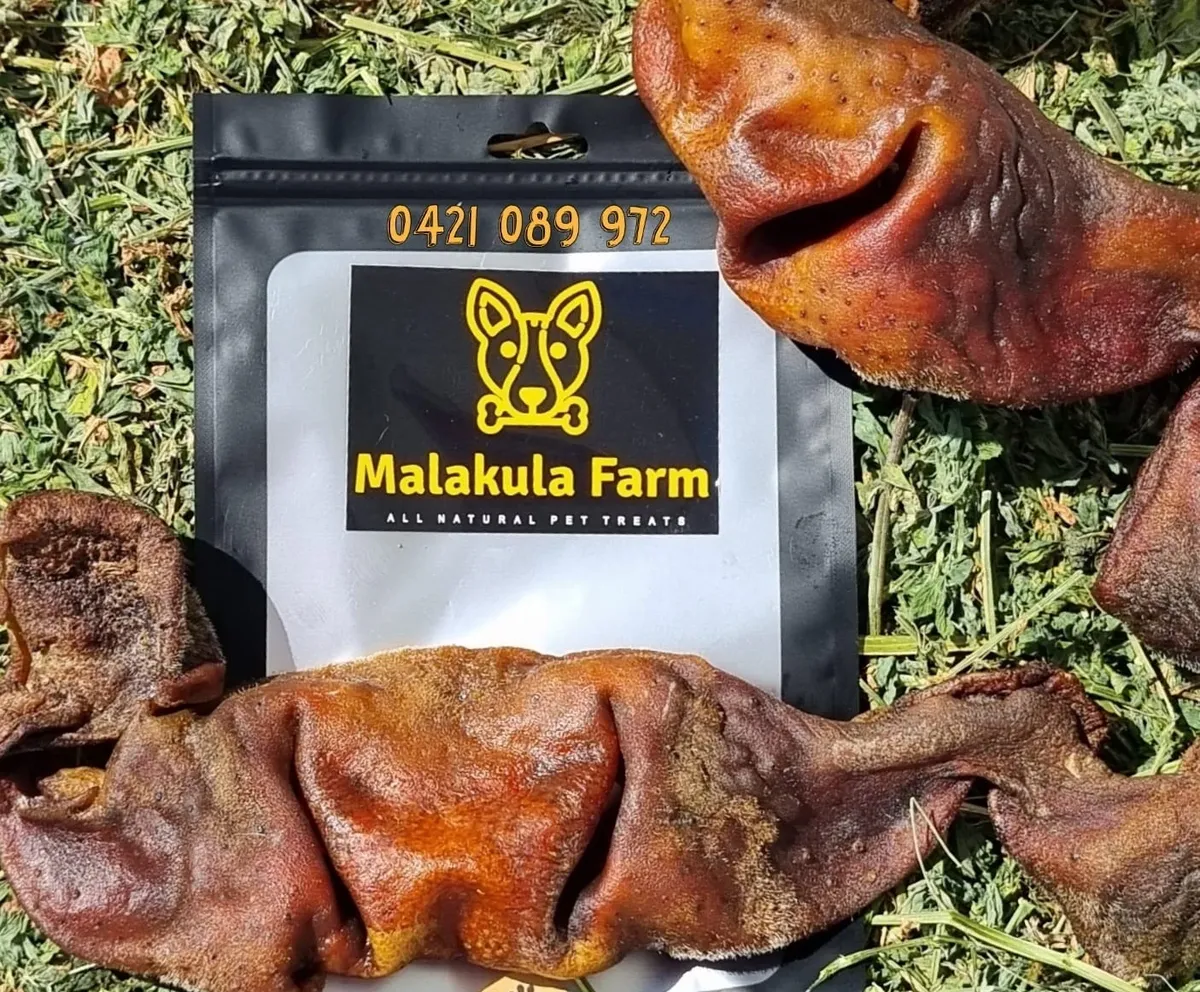 Dog treats, dried pig ears, on grass with a Malakula Farm product bag.