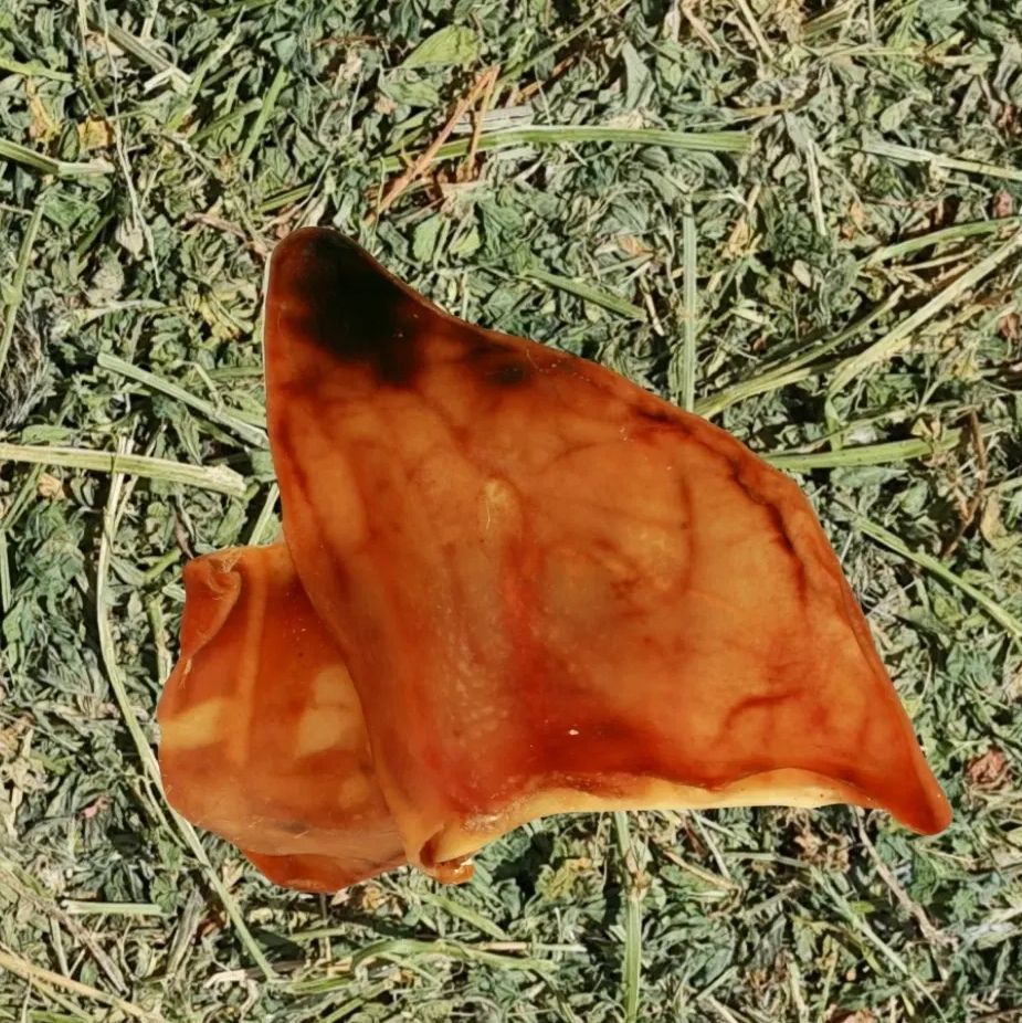 Two brown, dried pig ears on a bed of dried grass.