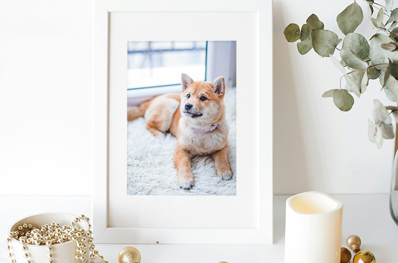 Encadrement photo  image