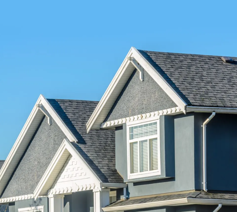 Window replacement willow grove pa