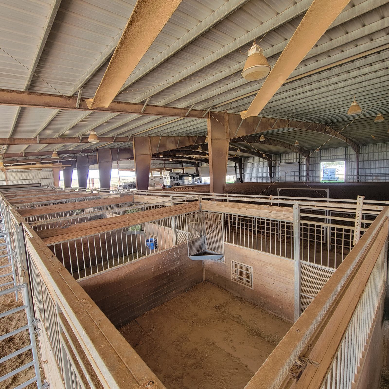 A large barn with a lot of animals in it