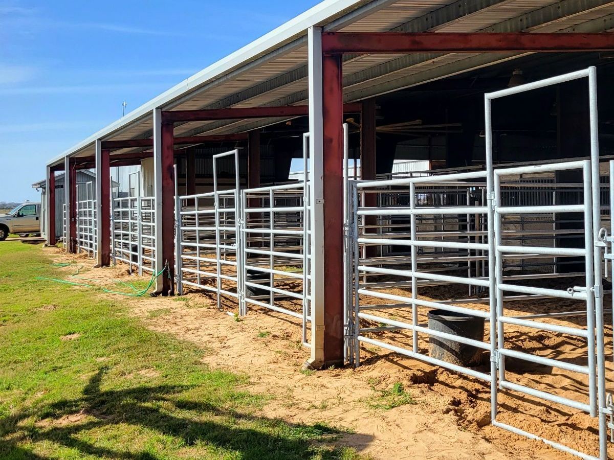 A row of metal fences surrounding a building on a ranch.