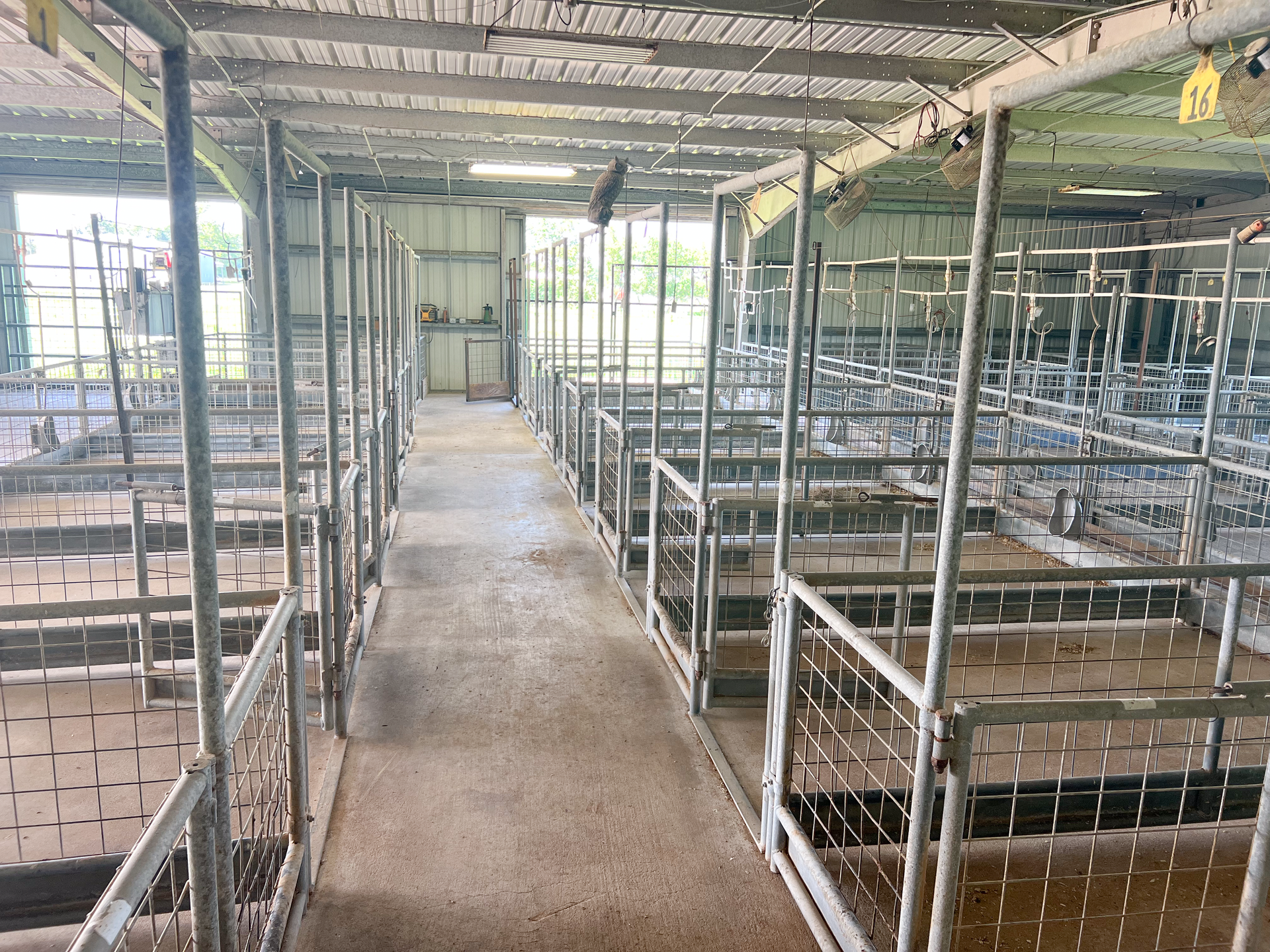 A row of pig pens in a barn with a yellow tag hanging from the ceiling.