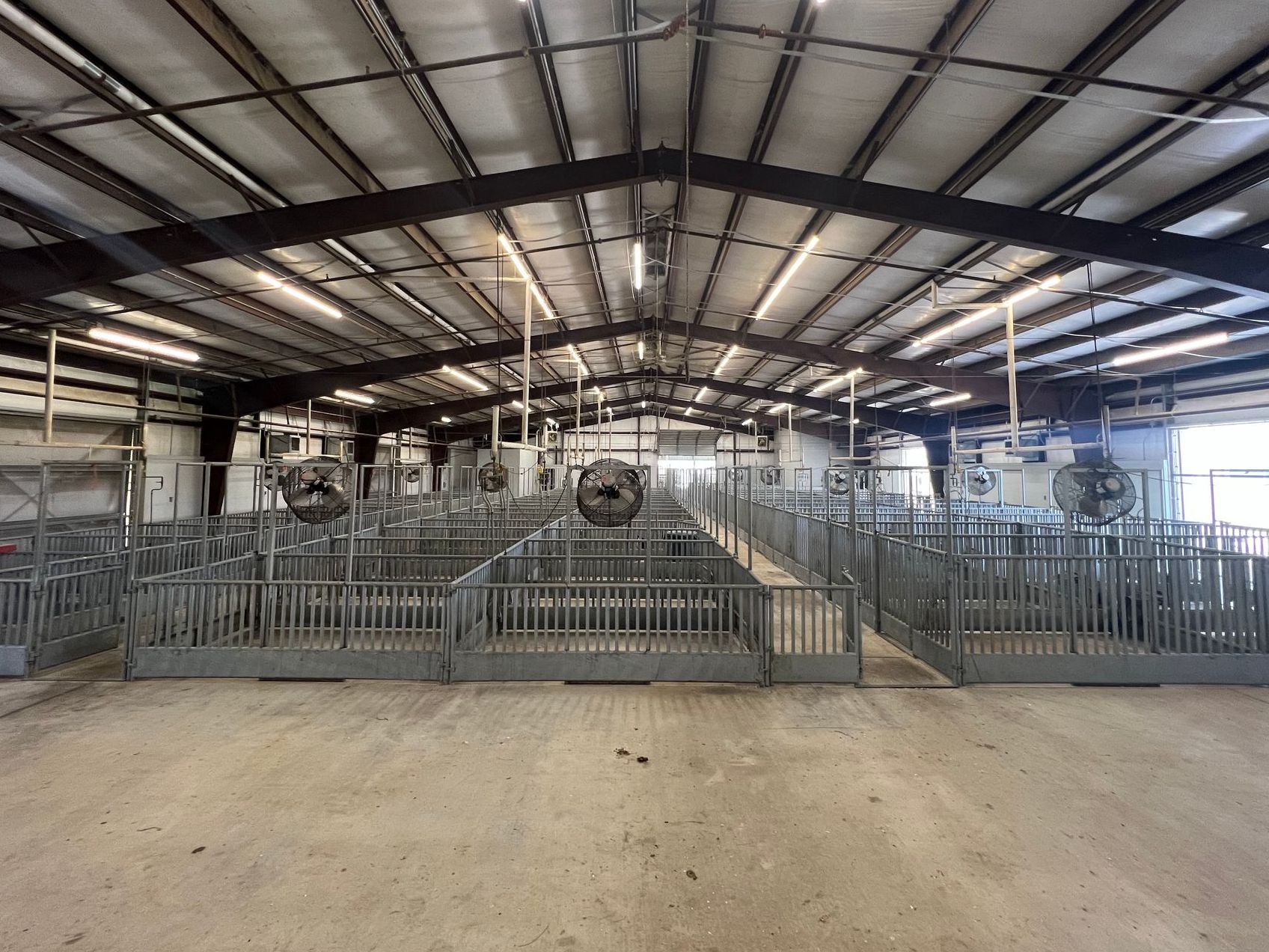 Hot dip galvanized show pens in an agricultural facility
