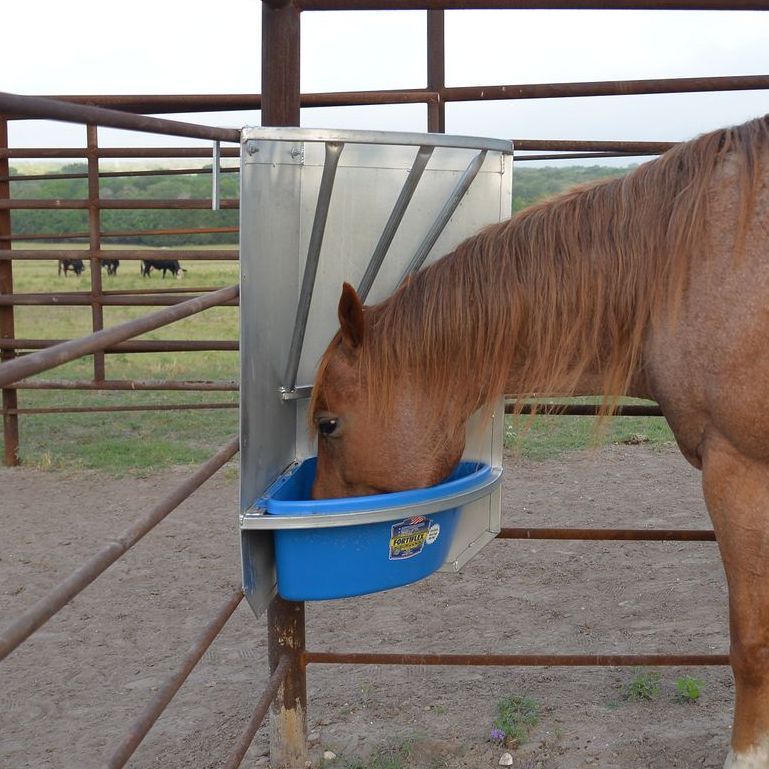 A brown horse is eating from a blue bowl