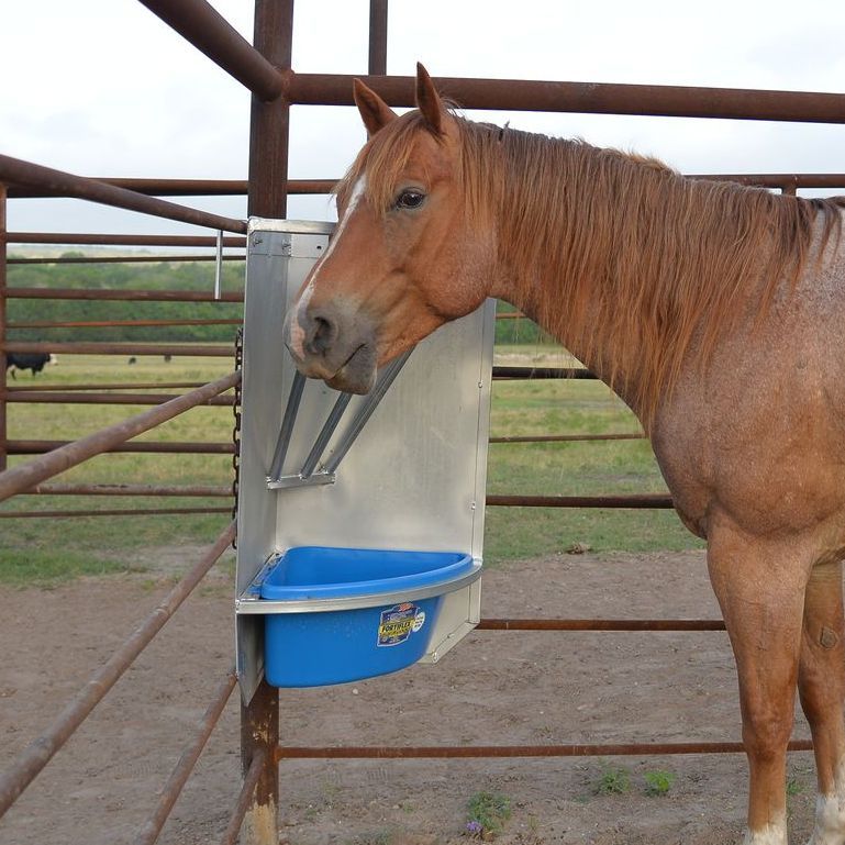 A brown horse is drinking water from a blue bowl