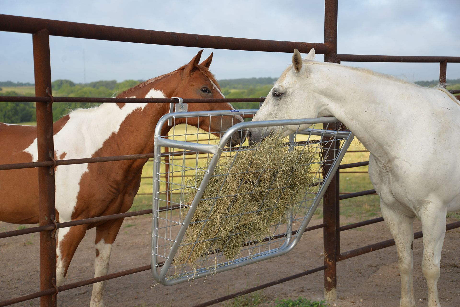 Two horses are standing next to each other eating hay from a feeder.