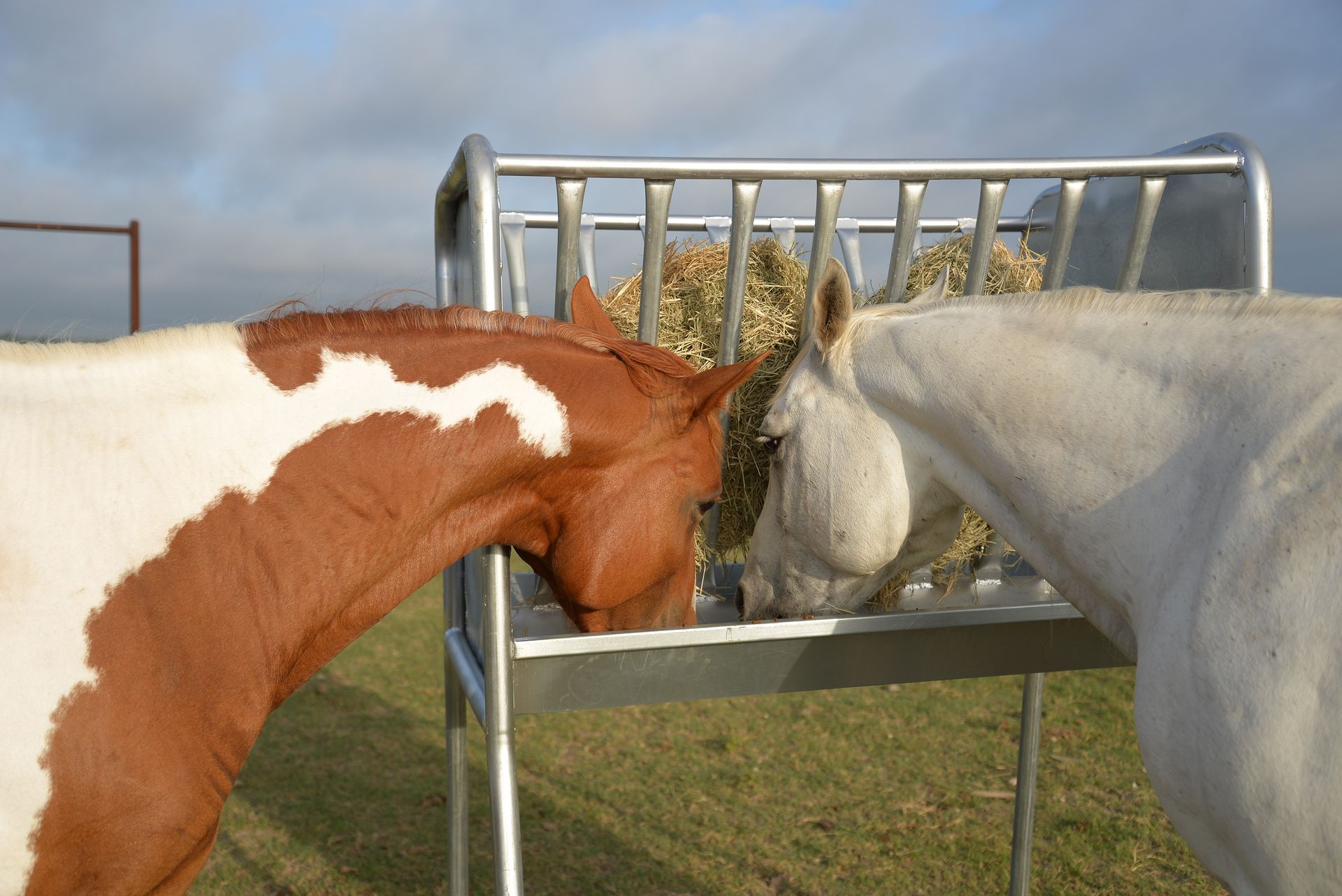 Two horses are eating hay from a feeder in a field.