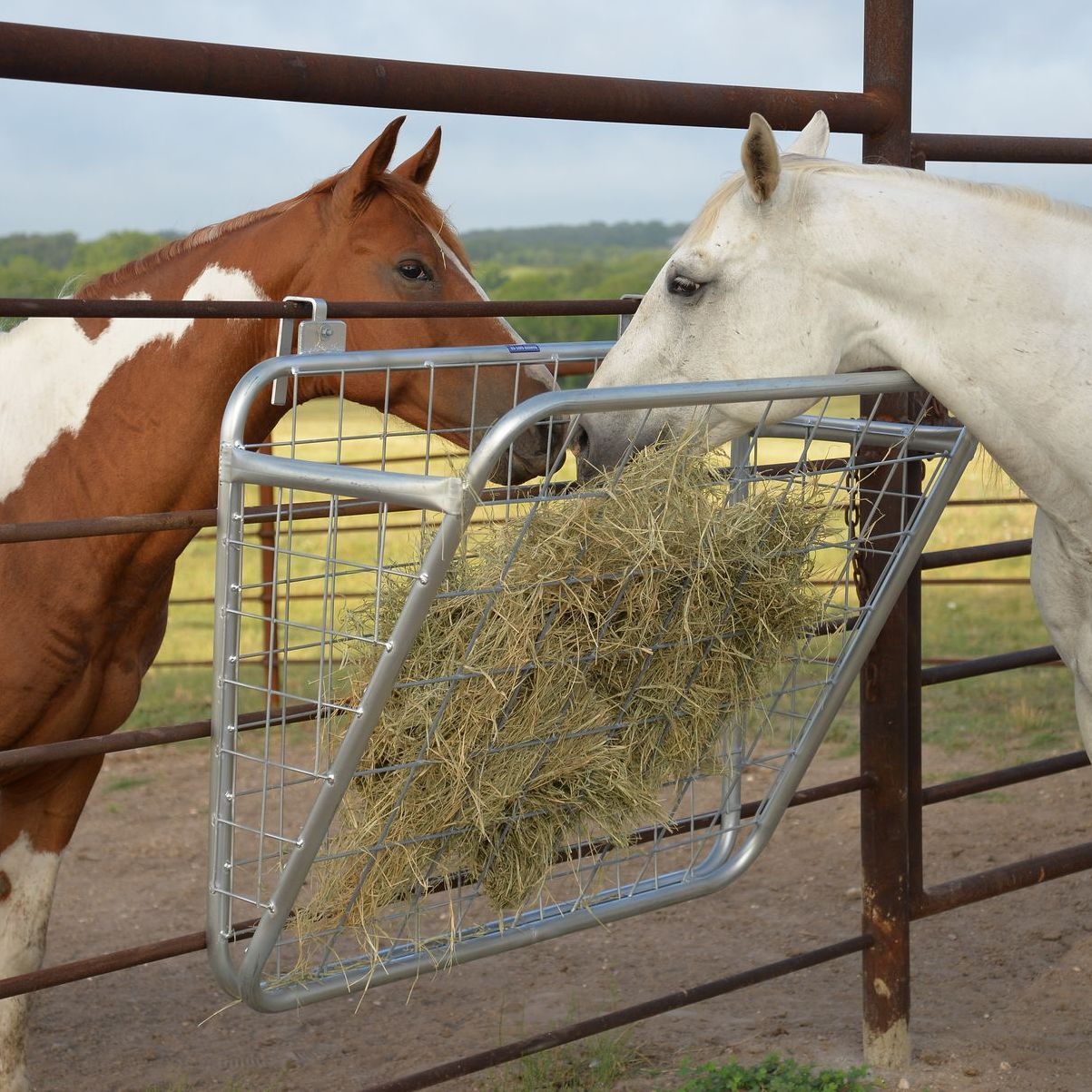 A brown and white horse eating hay from a feeder
