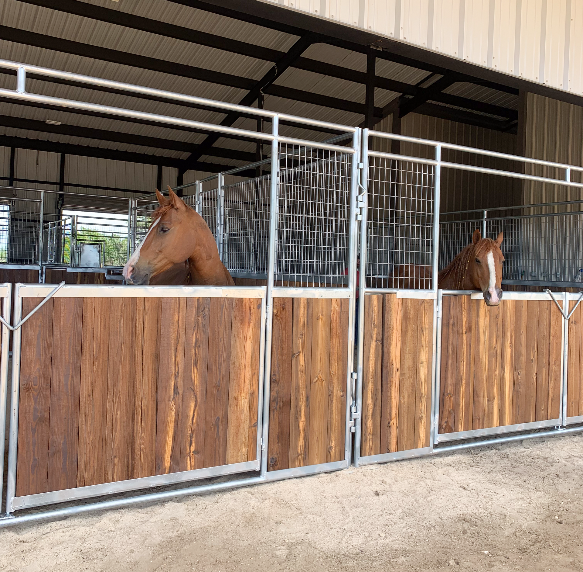 Two horses are standing in a barn behind wooden fences.