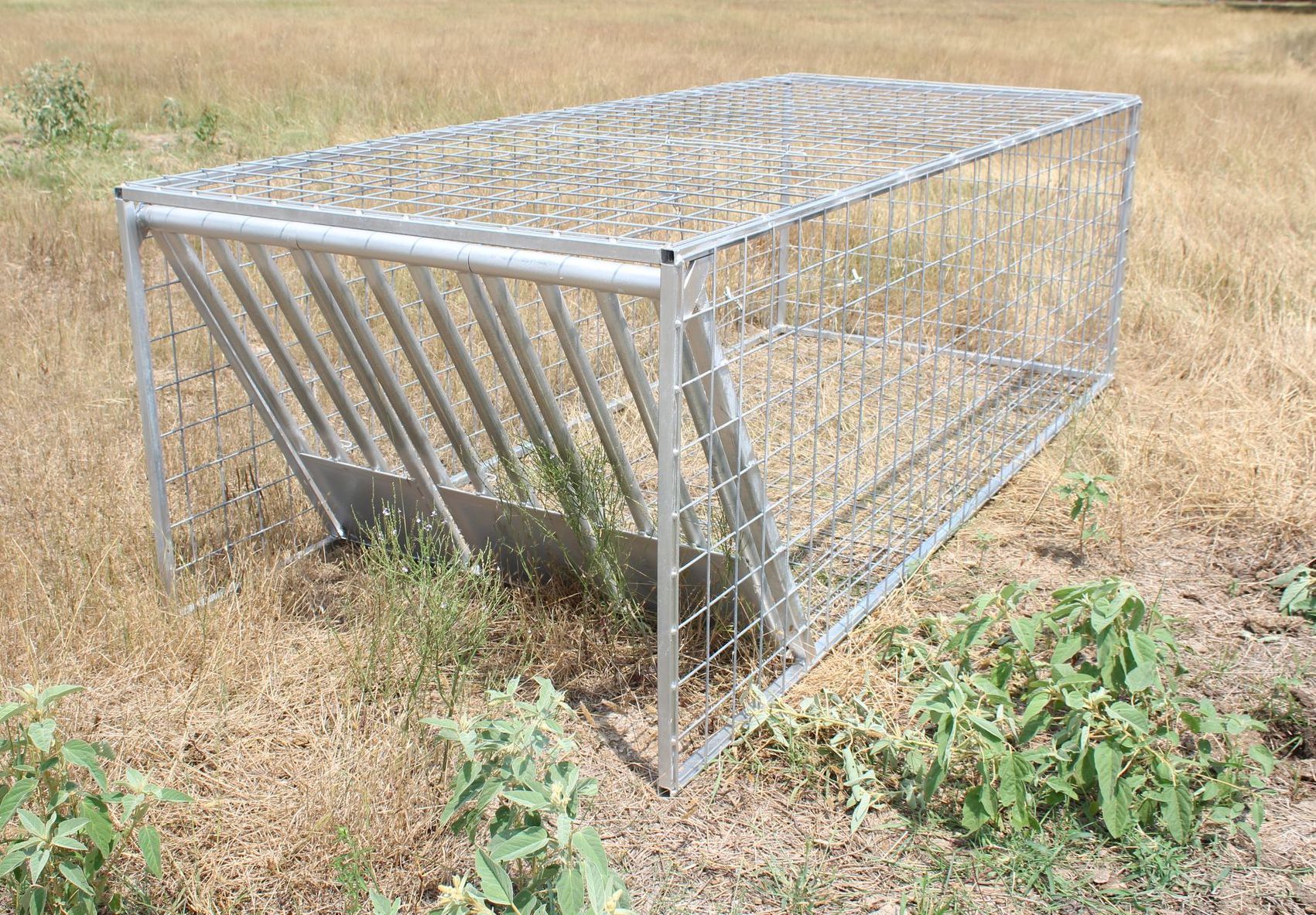 A galvanized hog trap.