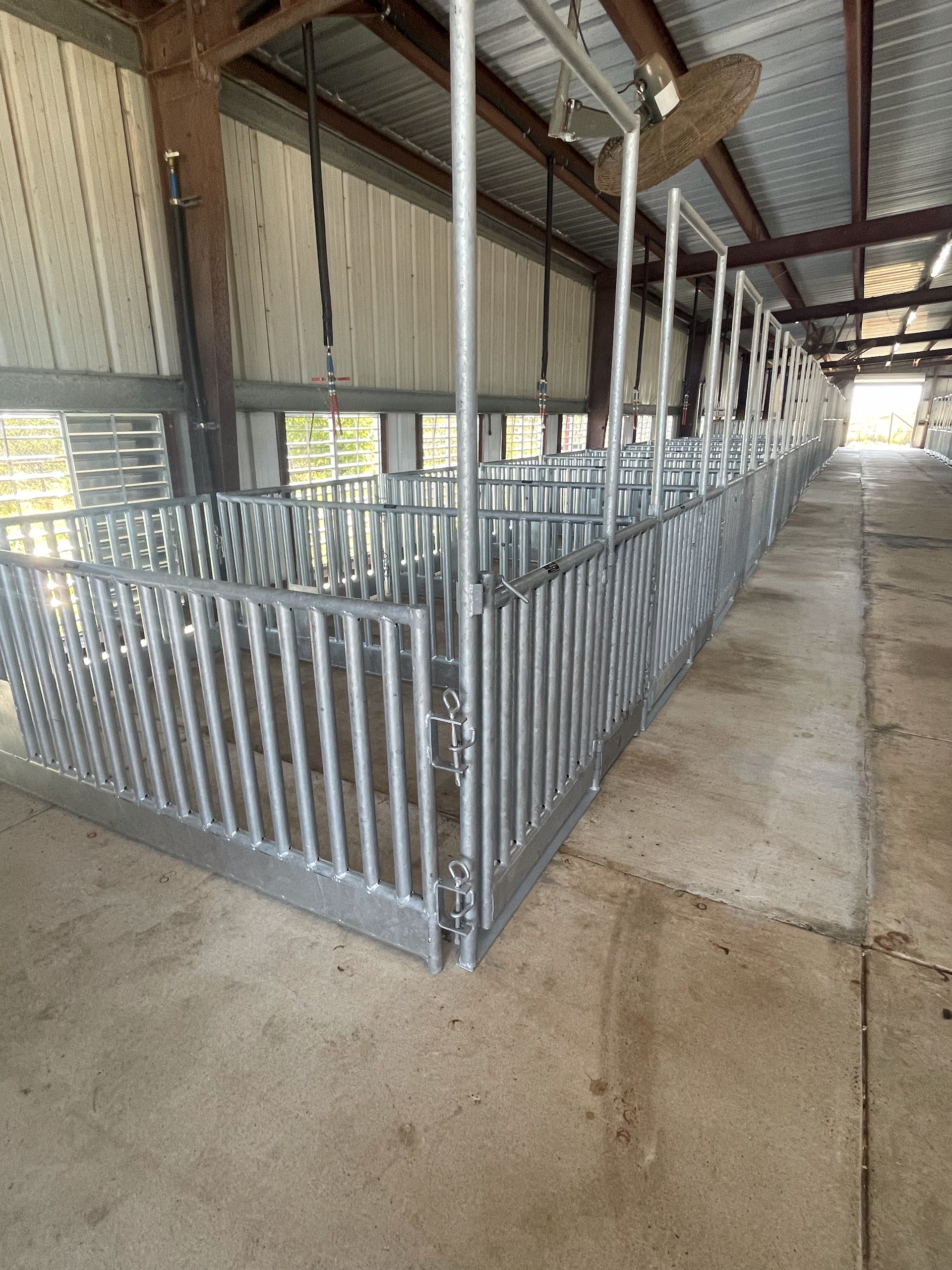 A row of pig pens in a barn with a fan hanging from the ceiling.