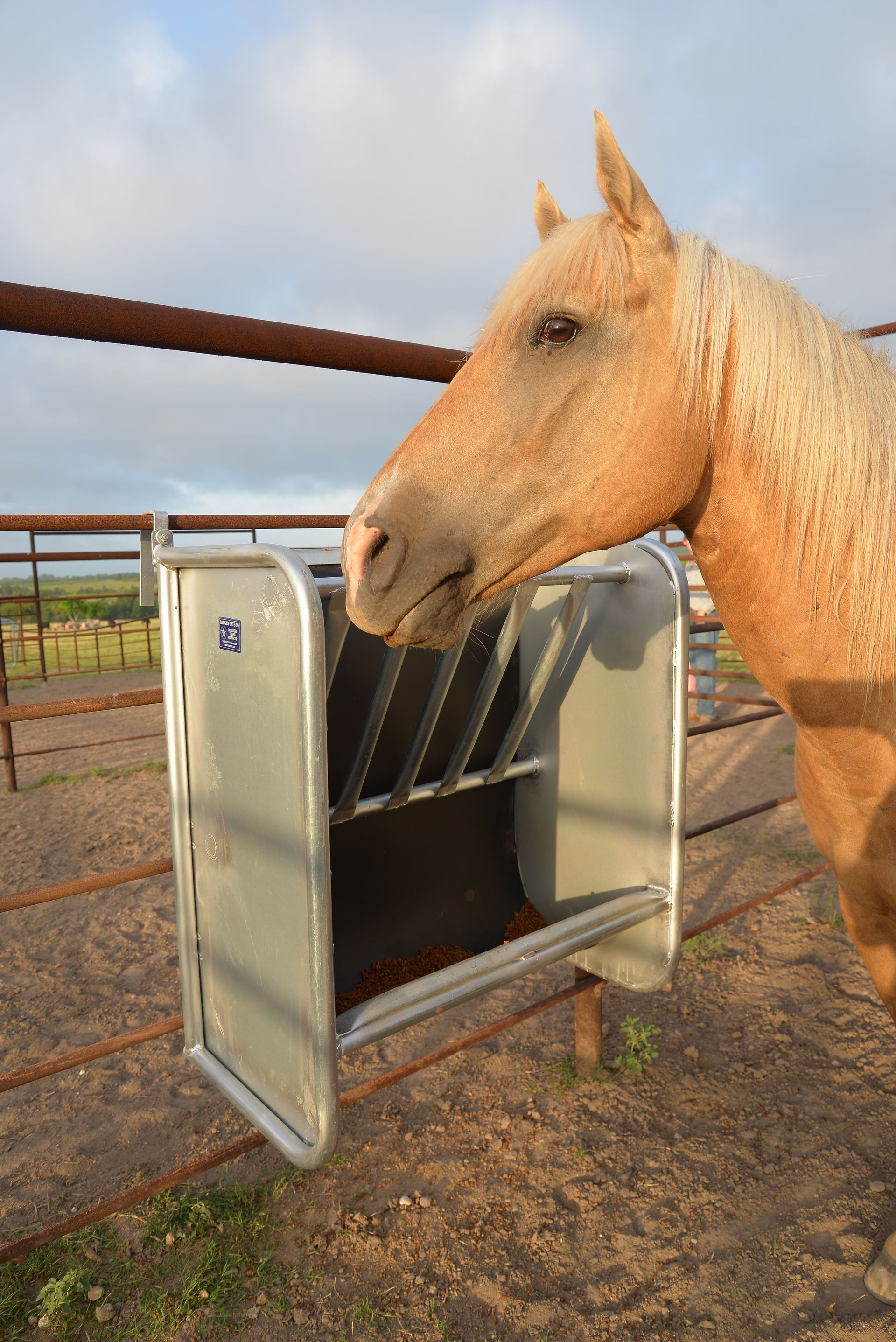 A horse is standing next to a feeder in a fenced in area.