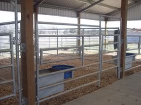 A horse stable with a fence and a water trough.