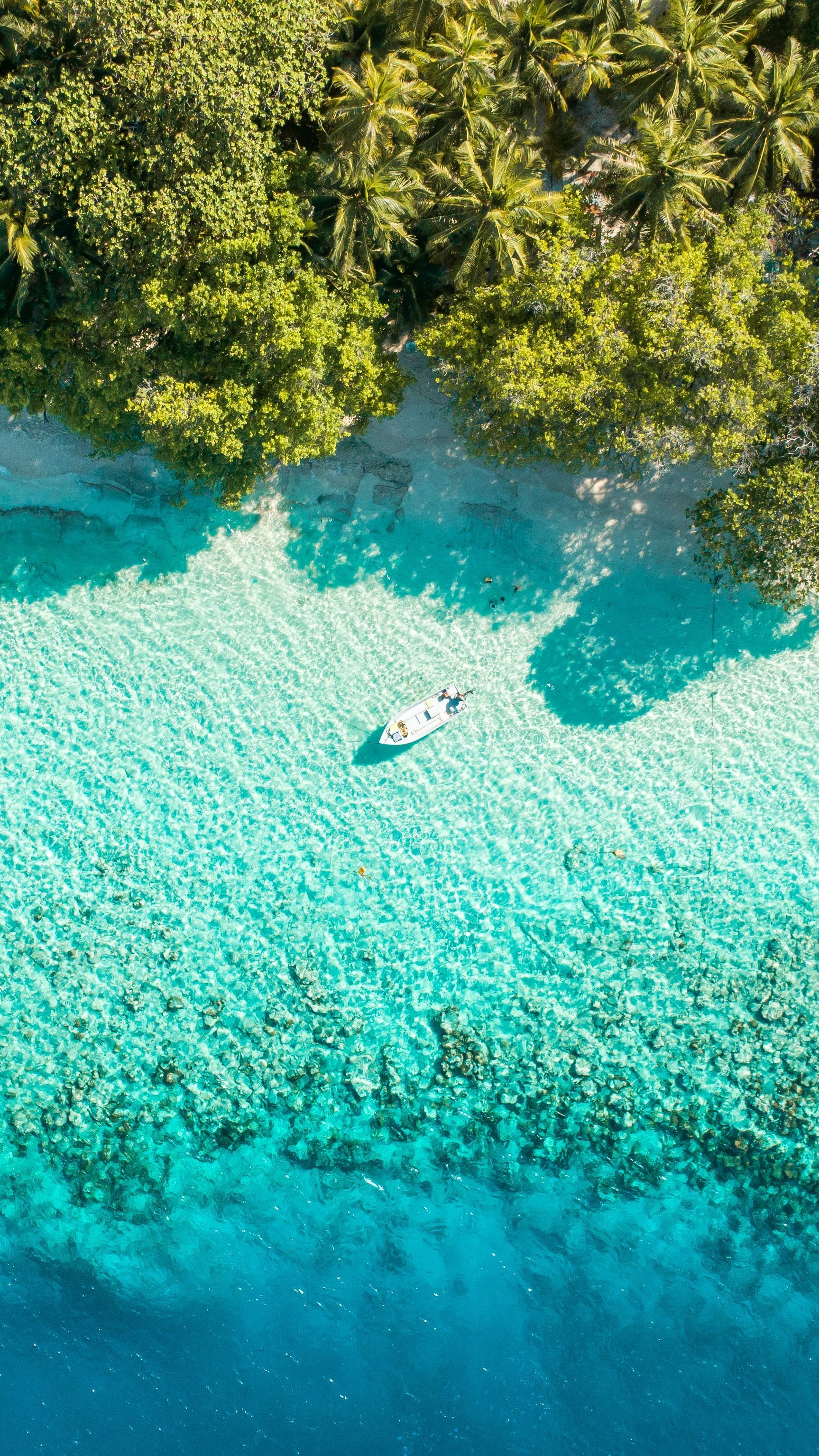 An aerial view of a boat in the middle of the ocean surrounded by trees.