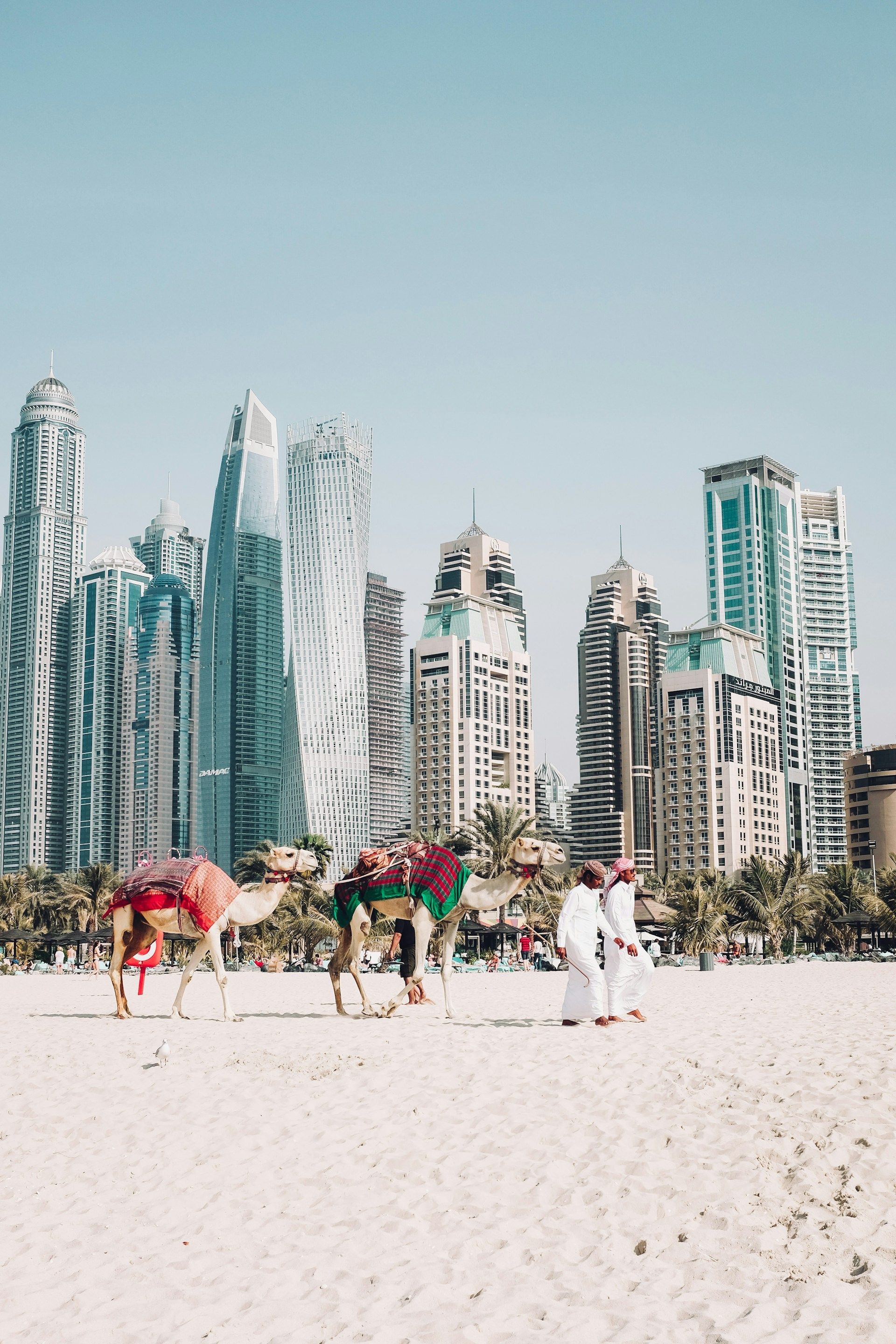 A group of people riding camels on a beach in front of a city skyline.