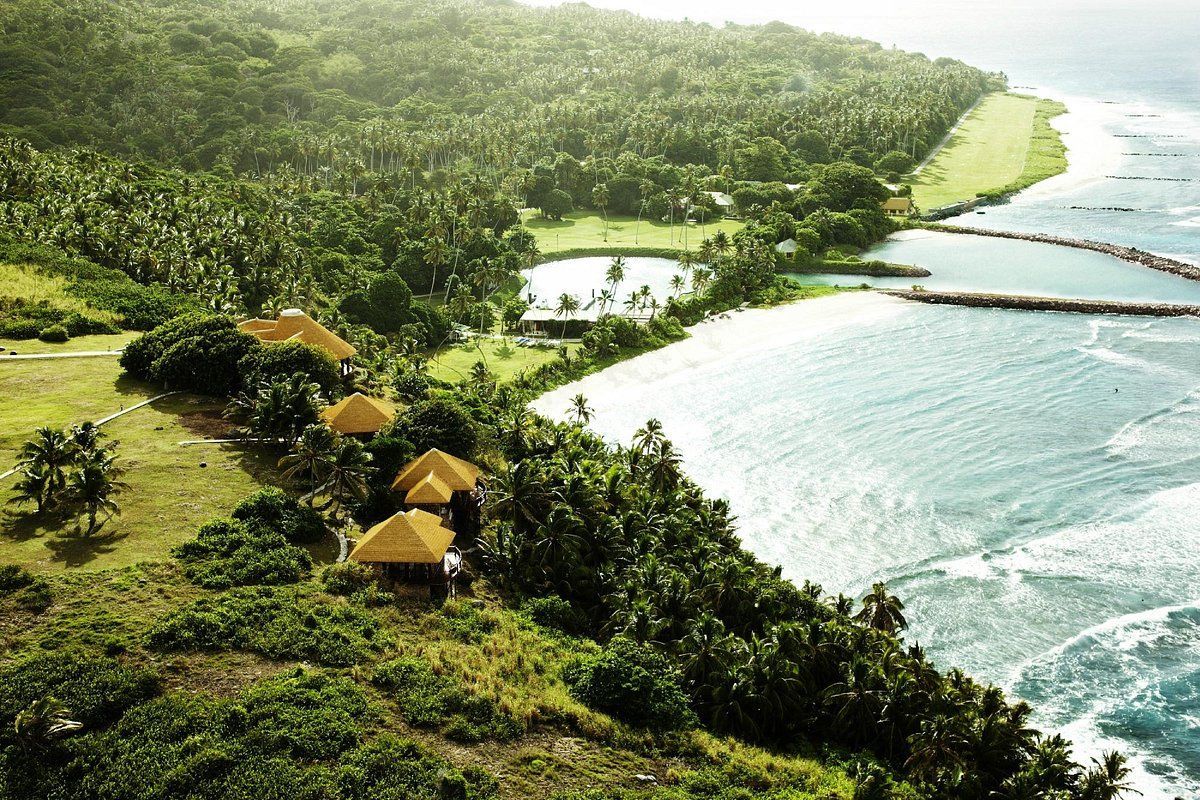 An aerial view of a tropical island with a beach and trees