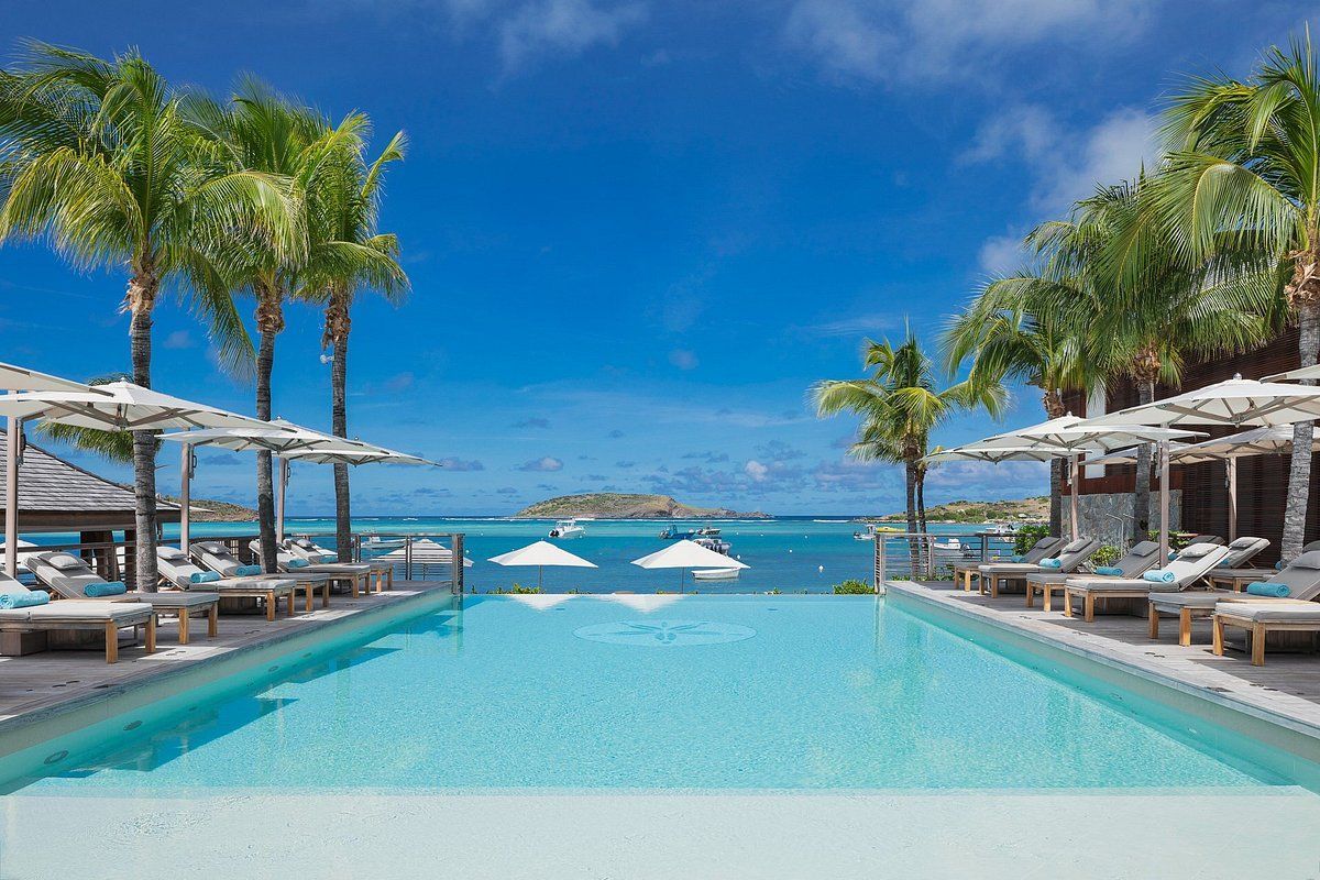A large swimming pool surrounded by palm trees and chairs overlooking the ocean.