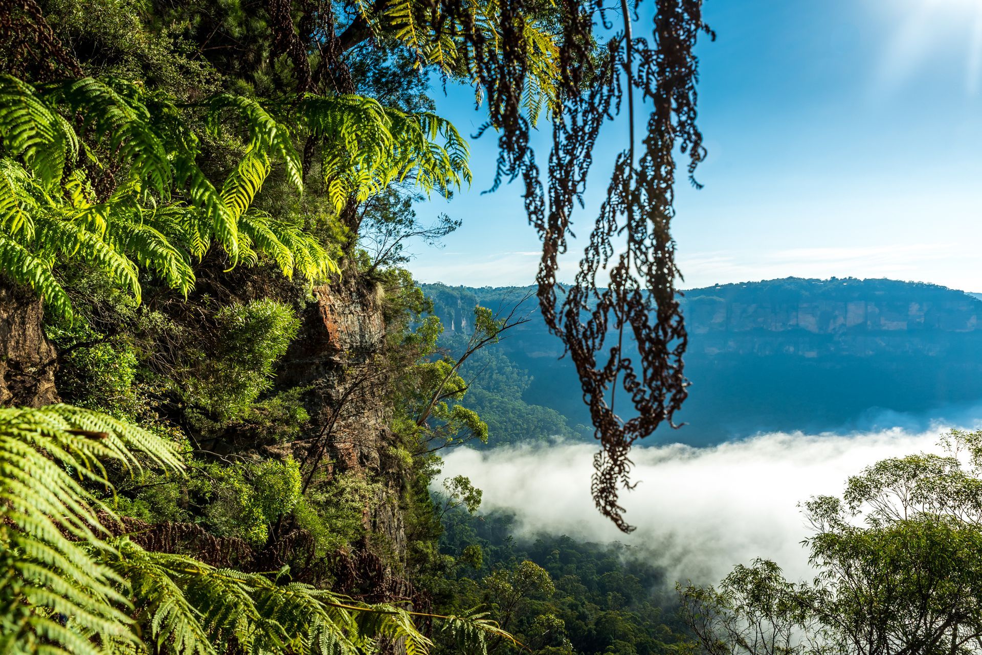 A view of a valley with trees and clouds