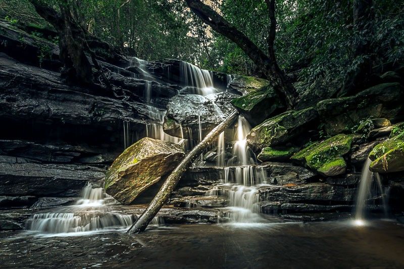 A waterfall is surrounded by trees and rocks in the middle of a forest.