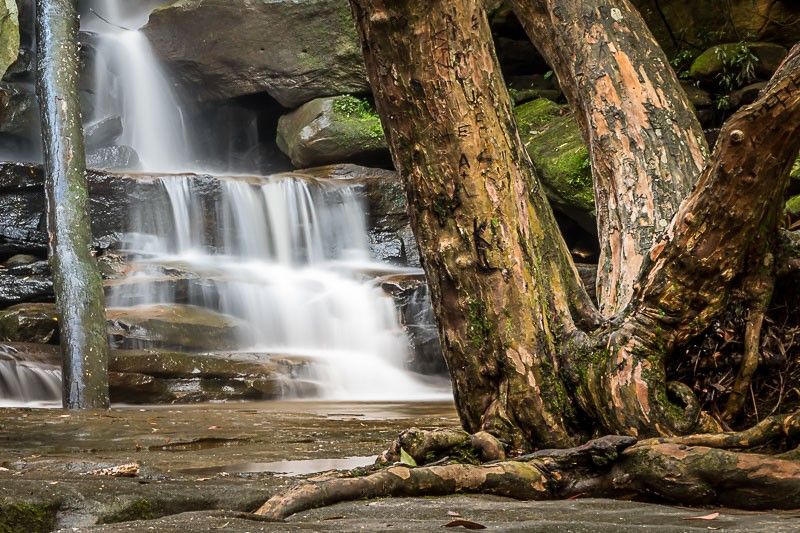 A waterfall is surrounded by trees and rocks in the woods.
