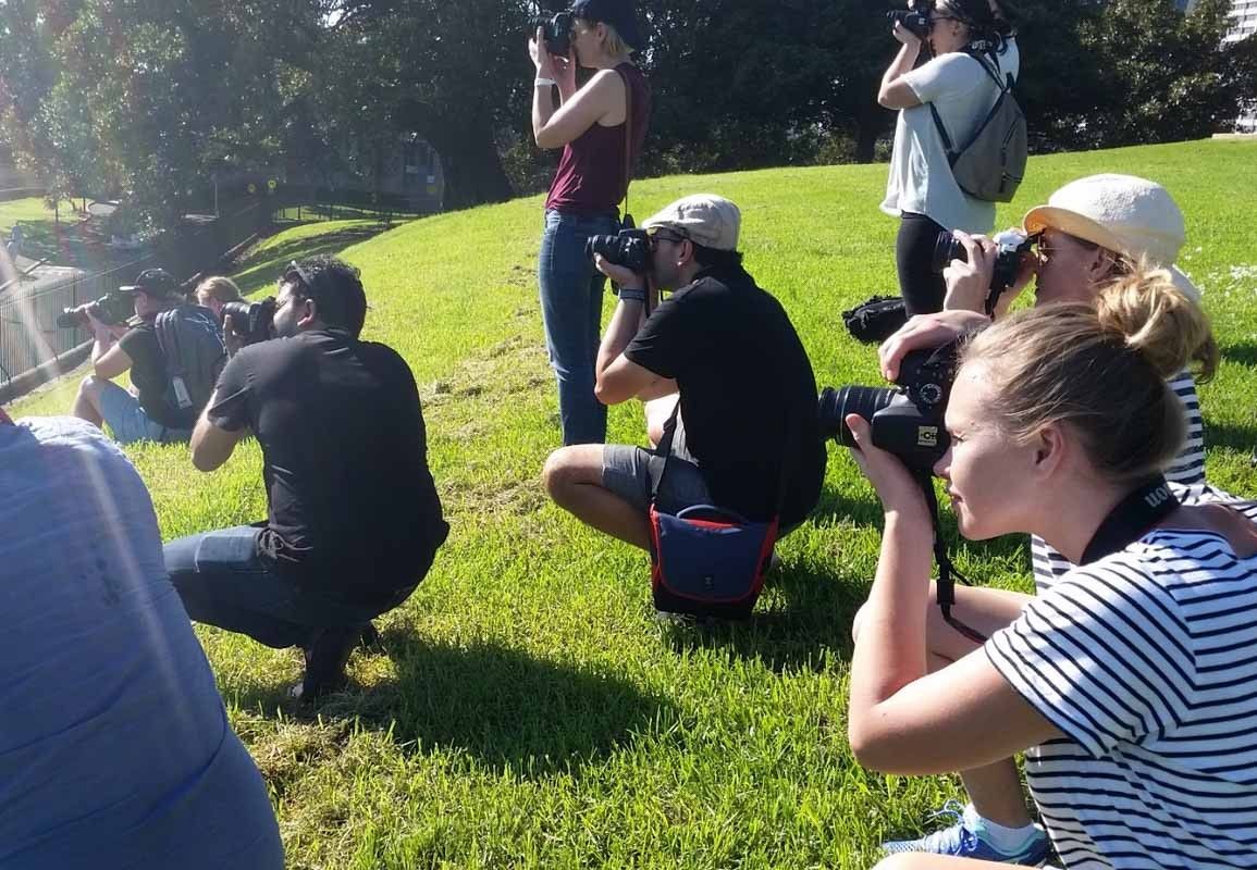 A group of people are taking pictures in a grassy field