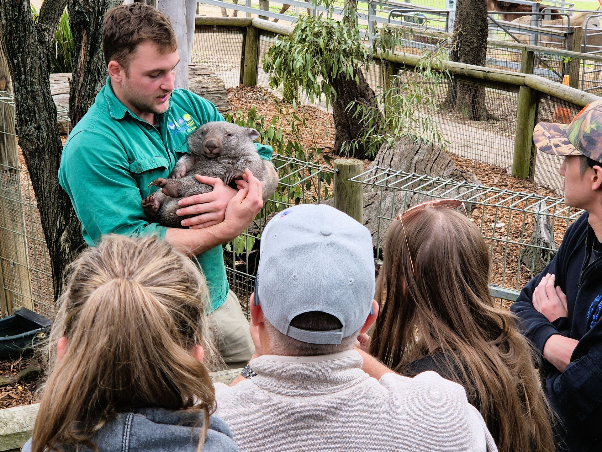 Family poses under Sydney Harbour Bridge at night. All wear white clothing.