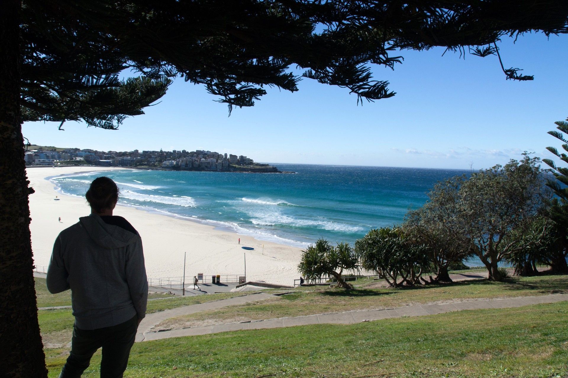 A man standing on a hill overlooking a beach