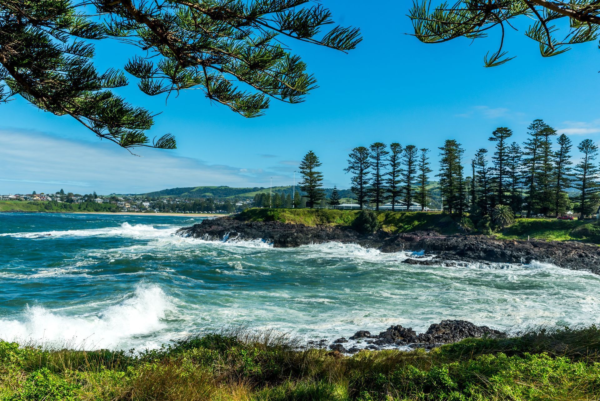A view of the ocean with trees in the foreground