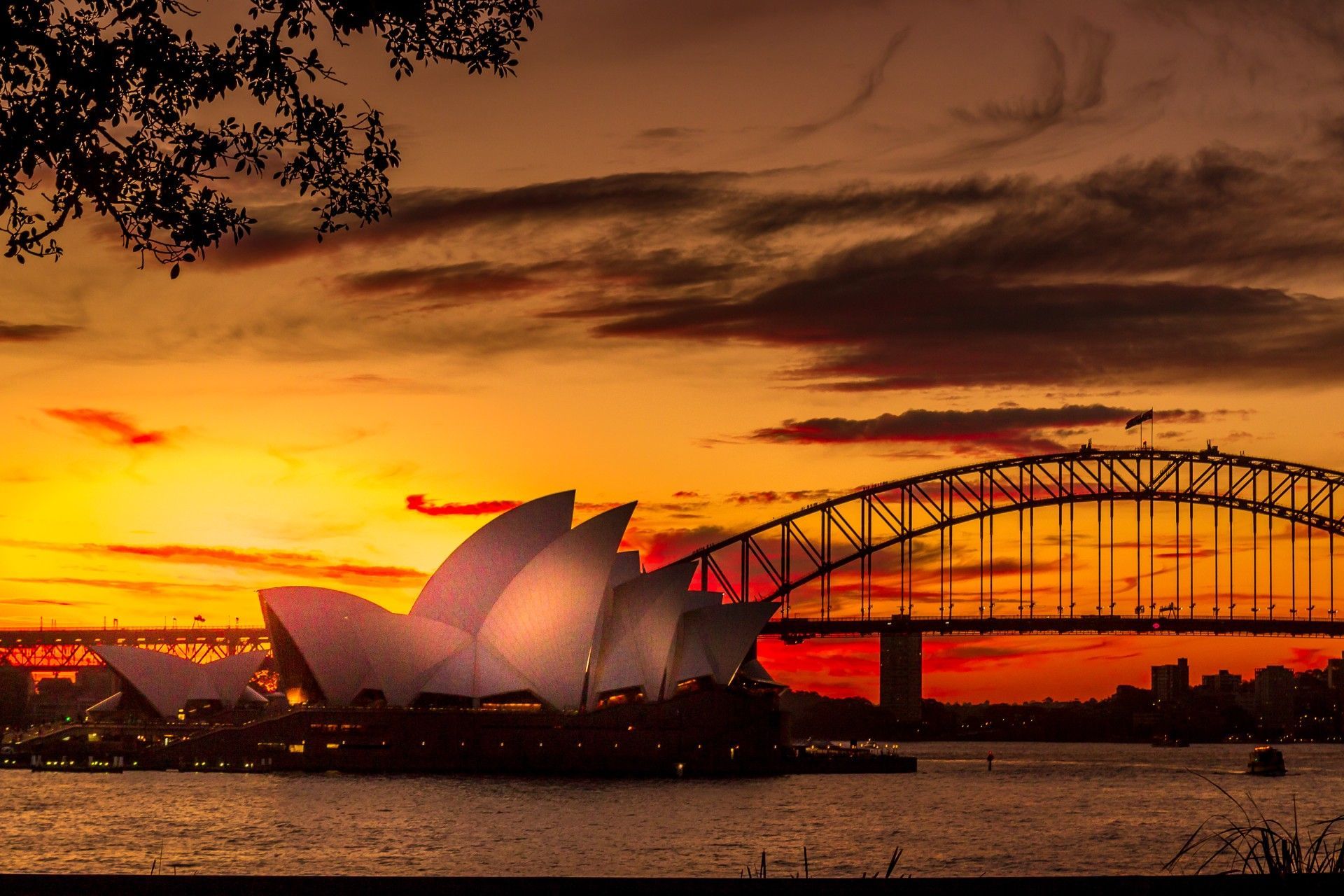 The sydney opera house is lit up at sunset