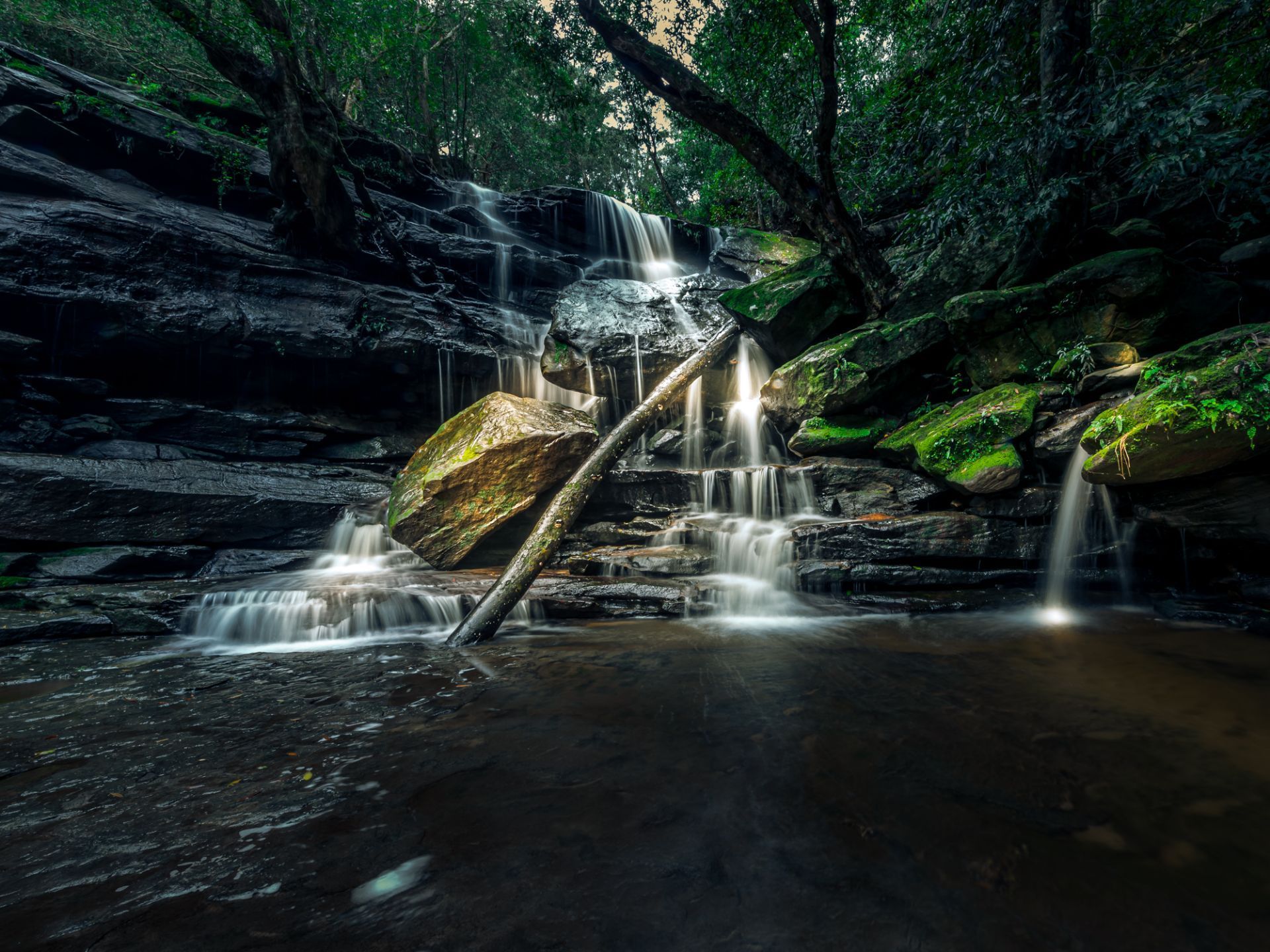 A waterfall is surrounded by trees and rocks in the middle of a forest.