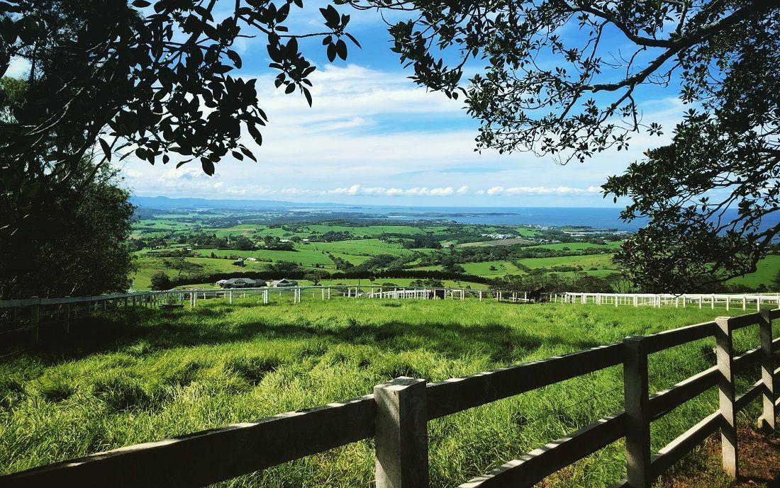 A wooden fence surrounds a grassy field with a view of the ocean