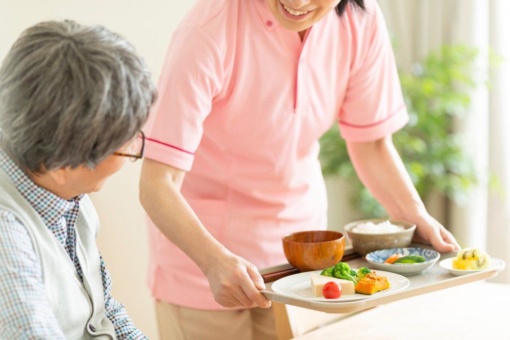 A woman is serving a plate of food to an elderly woman — iCan Support Services Kawana QLD
