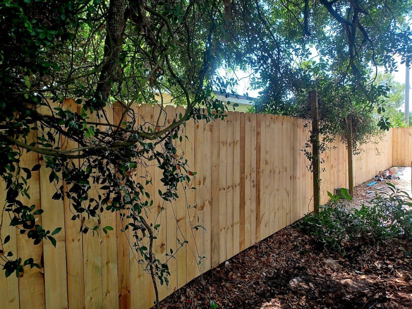 A wooden fence is surrounded by trees in a backyard.