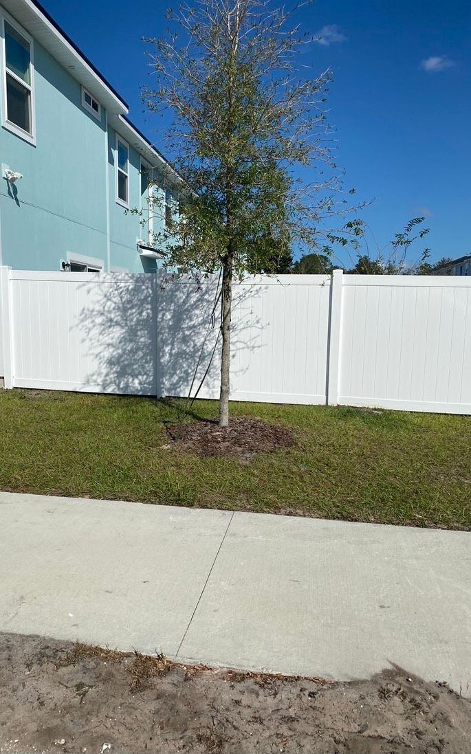 A white fence with a tree in front of it and a house in the background.