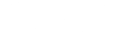 A white background with a few lines on it