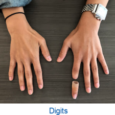 A woman 's hands with a watch on her wrist and the words digits below them