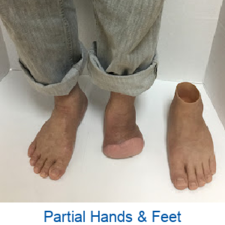 Partial hands and feet are shown on a white surface
