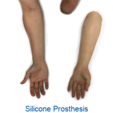 A pair of silicone prosthetic arms on a white background