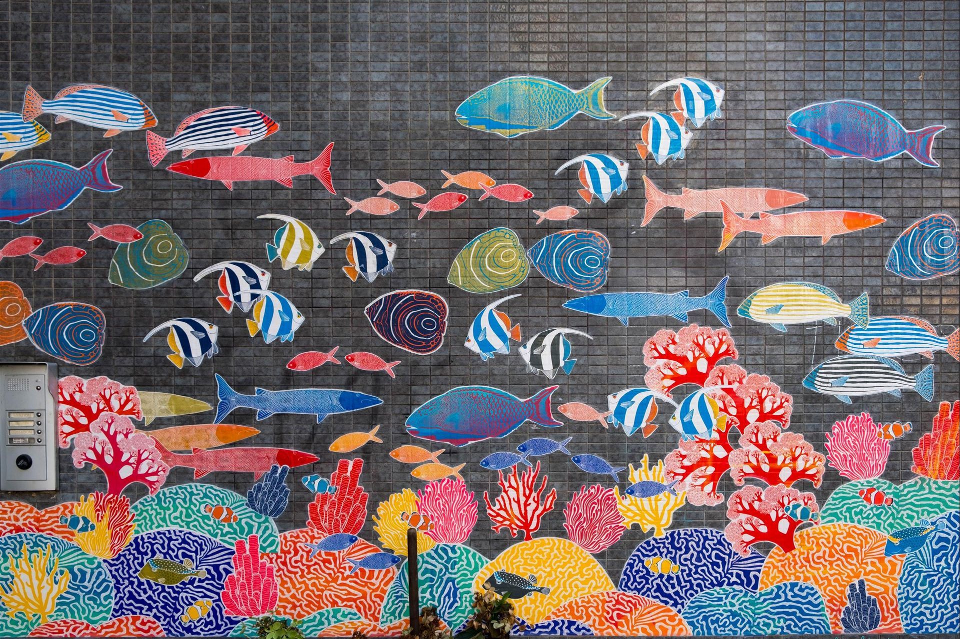 A mural of fish and corals on a wall
