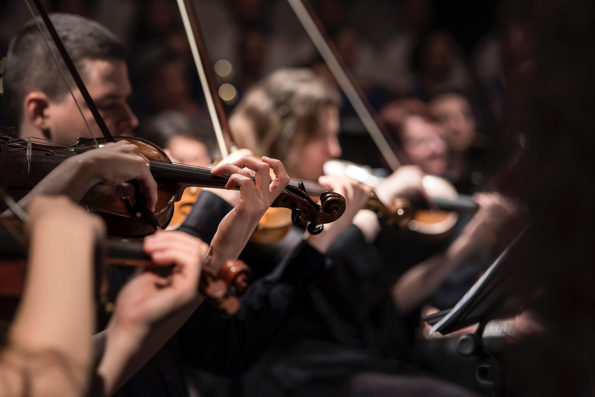 A group of people are playing violins in an orchestra.