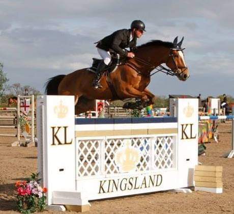 Horses For Sale, Showjumpers For Sale, Eventers For Sale, Allrounders For Sale,