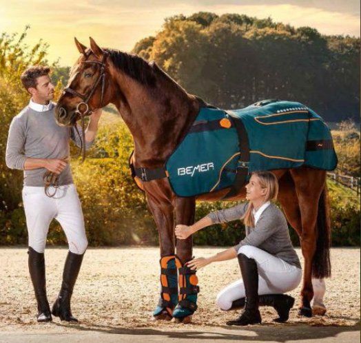 BEMER horse Rug, BEMER Neck applicator, BEMER horse therapy, BEMER therapy,