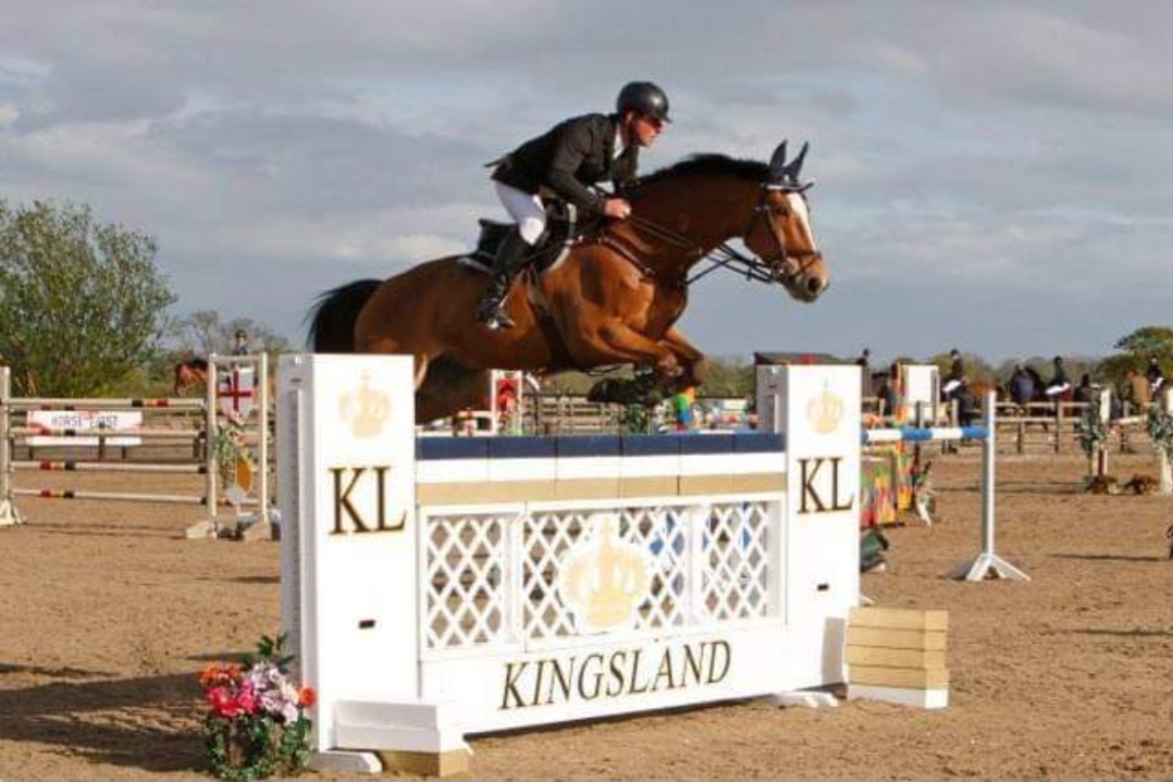 Horses For Sale, Sporthorses For Sale, Jumping Horses For Sale, Young Horses For Sale