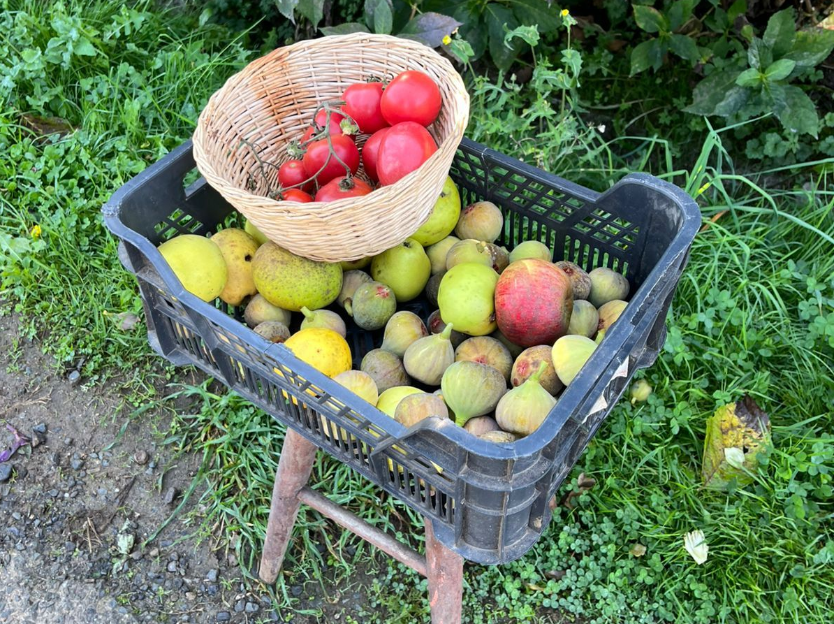 Person with backpack and trekking poles approaching cathedral.