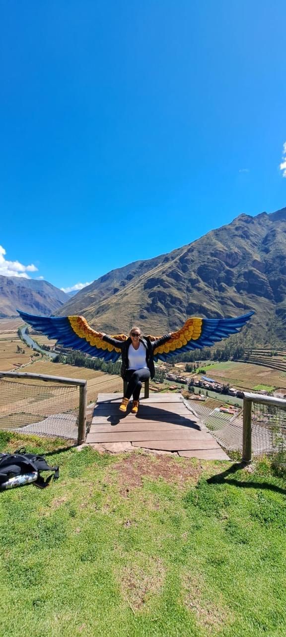 Persona con los brazos extendidos delante de unas alas azules y amarillas, con un fondo de montañas.