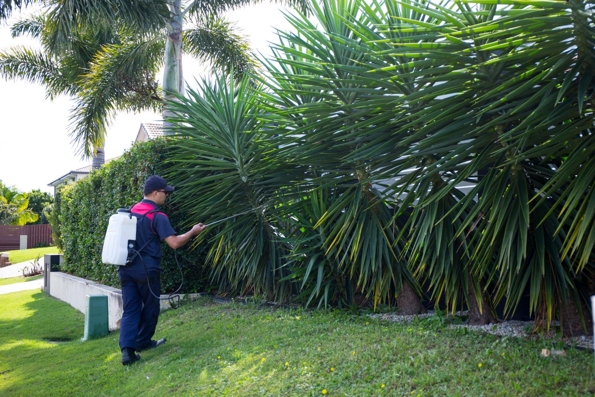 Pest Control Worker Spraying Pesticide — Riverland SA — Casey’s Pest Control